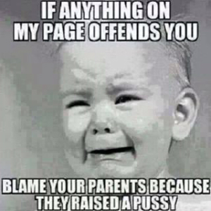 Oh, I'm sorry, did I offend you?
